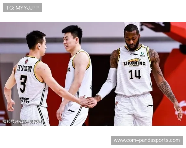 辽宁队防守体系升级 内线压缩与外线快速反应结合